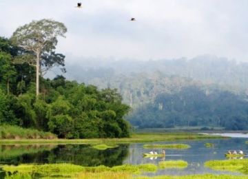 Birdwatching Spots in Vietnam & Best Time to Visit